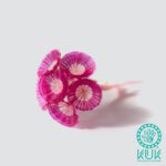 PRENDEDOR FLORES CALIPSO